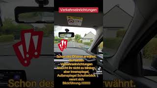 Bei diesen Verkehrseinrichtungen braucht ihr nicht zu blinken Gucken aber [upl. by Aihsekel402]