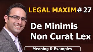 LATIN MAXIM 27  De Minimis Non Curat Lex  LEGAL MAXIM27  Meaning amp Examples  UPSC JUDICIARY [upl. by Zetrok518]