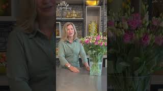 Lisianthus care tips by Gill Where to place your Lisianthus [upl. by Agarhs]