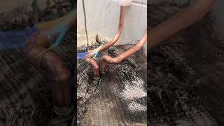 Repiping from pedestal basin to vanity unit plumbing plumber plumberlife plumbingskills [upl. by Harima]