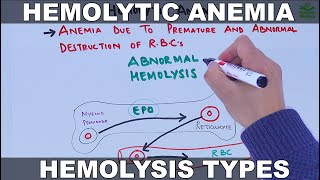 Hemolytic Anemia [upl. by Yrot]