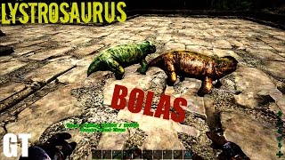 Lystrosaurus Taming  BABIES AND BOLAS  ARK Survival Evolved [upl. by Ylro]