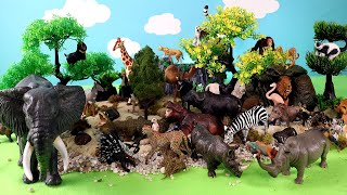 African Animals Safari Diorama  Learn Animal Names with Figurines [upl. by Airretnahs]