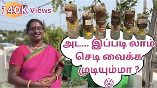 Maadi Thottam ✨அட இப்படி லாம் செடி வைக்க முடியும்மா  Hydroponic 😱garden maadithottam [upl. by Koerner]