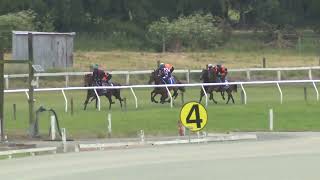 Ashburton Trials 27 11 2024 Heat 2 [upl. by Millhon]