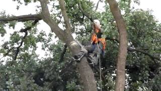 Das grosse Aufräumen nach dem Tornado in Langen Hessen [upl. by Revell]