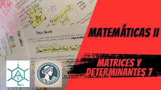 Matries Determinantes 7 [upl. by Nofpets873]