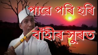 Pawe pori hori  Borgeet  Srimanta Sankardeva  Assamese flute Instrumental  NS MUSIC [upl. by Assyn]