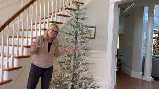 Sparse Christmas Tree Features and Decorating Ideas [upl. by Uokes]