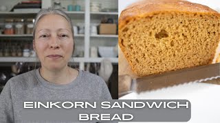 How to make and easy EINKORN sandwich loaf [upl. by Tews]