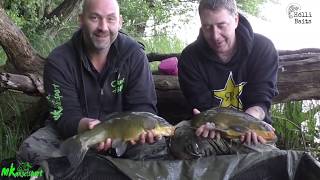 Karpfenangeln 2018Carpfishing ExtremZwischen Seerosen und Krautfeldern [upl. by Farica377]