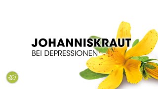 JOHANNISKRAUT bei Depressionen [upl. by Arraes30]