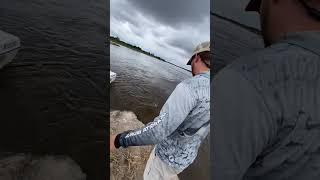 Best video about fishing Best fishing good fishing big fish [upl. by Eyeleen]