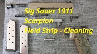 Sig Sauer 1911 Scorpion  Field Strip [upl. by Plerre985]