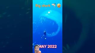 Big shark 🦈 😳 viral shorts evolution shark animation scary entertainment horrorshorts [upl. by Enyledam750]