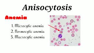 Anisocytosis क्या है [upl. by Brunn]