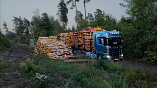 Simple reversing Loading birch pine and spruce pulpwood [upl. by Aihpledalihp]