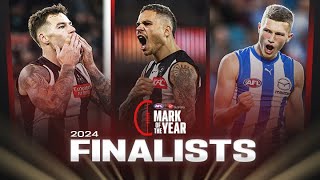 Two Pies and a Roo fly high  Mark of the Year finalists  2024 [upl. by Adniram812]