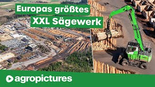 Größtes Sägewerk Europas – Ziegler Group  SENNEBOGEN 735E Pick amp Carry Umschlagbagger  Holz Doku [upl. by Eidda]