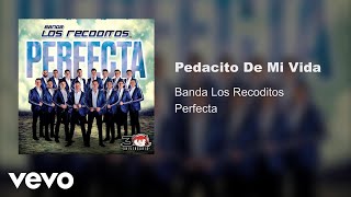 Banda Los Recoditos  Pedacito De Mi Vida Audio Oficial [upl. by Eelhsa]