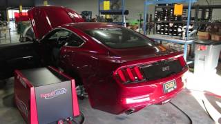 Mustang GT X and HPipe Dyno Testing [upl. by Ednew]