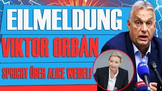 VIKTOR ORBÁNS ÜBERRASCHENDE AUSSAGE ÜBER ALICE WEIDEL SCHOCKIERT DIE ÖFFENTLICHKEIT [upl. by Adrienne]