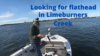 Chasing flathead in Limeburners Creek [upl. by Palla196]