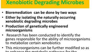 Dr Deepa R Pillai  Microbial Degradation of Xenobiotics [upl. by Philly463]