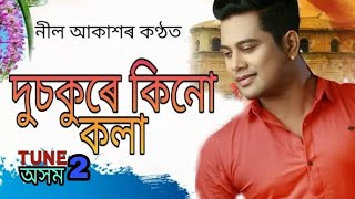 Dusokure Kinu KolaNeel AkashLatest Assames Song2018 [upl. by Airetnuhs]