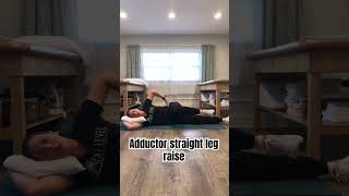 Straight leg raise  adduction [upl. by Renrag486]