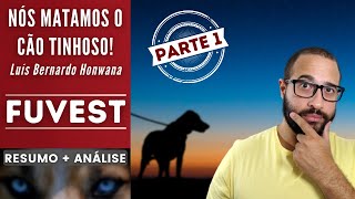 NÓS MATAMOS O CÃO TINHOSO  PARTE 14  FUVEST  Luís Bernardo Honwana  Resumo  Análise [upl. by Lust205]