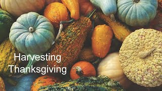 quotHarvesting Thanksgivingquot  November 24 2024 [upl. by Ansaev]