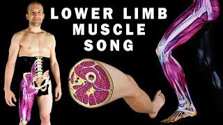 LOWER LIMB MUSCLES SONG Part 12 [upl. by Decato]