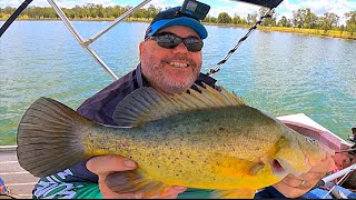 Yellowbelly and Australian Bass Fishing [upl. by Melinda]