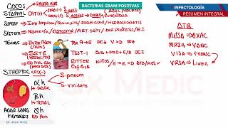 Infectología  Bacteria gram positivos cocos [upl. by Anniala]