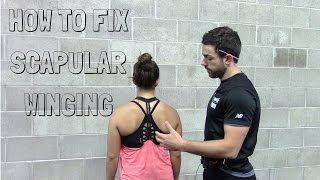 How to Fix Scapular Winging  A Case Study with Exercises [upl. by Sawyor]