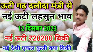 दलौदा मंडी नई ऊटी लहसुन का भाव 12 दिसंबर 2023 new ooty garlic price ooty garlic rate today daloda [upl. by Batchelor]