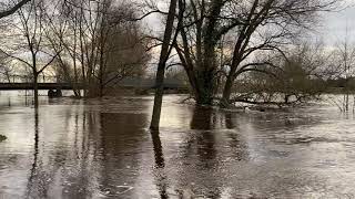 MüdenAller  Hochwasser AllerPark am 28122023 [upl. by Heady]