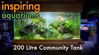 Inspiring Aquariums  200 Litre Community Tank [upl. by Viquelia]