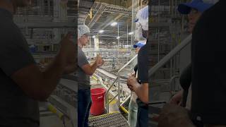 Touring AnheuserBusch in Fairfield California beer MakingCA [upl. by Riada538]