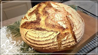 Mein OhneKneten Brot mit dem Weltbesten Geschmack [upl. by Nimrahc]