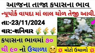 Kapas na bhav  23112024  કપાસના ભાવ2024  Information about cotton crop price  Commodity [upl. by Toy797]