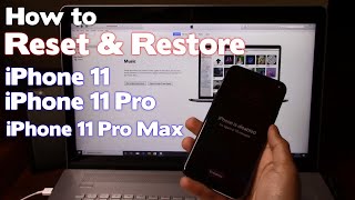 How to Reset amp Restore iPhone 11ProPro Max  Factory Reset Forgot Passcode iPhone is Disabled Fix [upl. by Langham789]