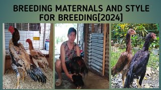 BREEDING MATERIALS AND STYLE FOR BREEDING2024 [upl. by Rimisac]