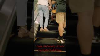 Loading And Unloading A Loaded Dog Stroller On An Elevator allpetmatters dog shorts trending [upl. by Andrey]