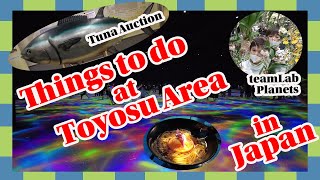 tuna auction teamLab Things to do at Toyosu area in Japan [upl. by Ajna]