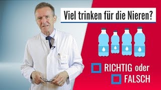 Richtig oder falsch – Nieren [upl. by Berton]