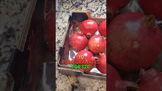 10 Pomegranates for 20 [upl. by Lehsar]