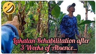 『Lakatan Rehabilitation after 3 weeks of Absence』〘Sana makarecover〙 [upl. by Cohbert]