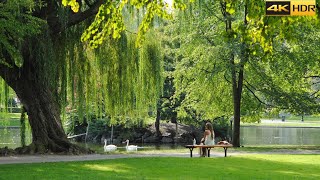 Wardown Park Luton England  Walking Tour  Nature Sounds Ducks  4K HDR [upl. by Bernardina]